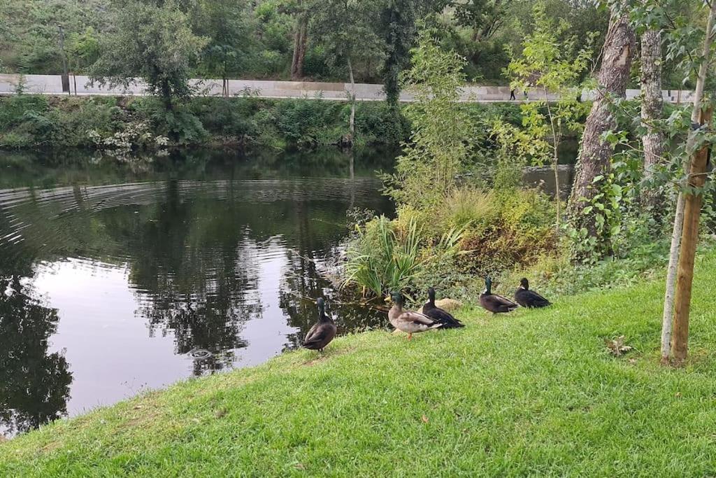 Nature E Spa Al - Termas Saude E Beleza, Totalmente Renovado - Piscinas Municipais Em Frente - Epoca Julho A Setembro São Pedro do Sul Exterior foto